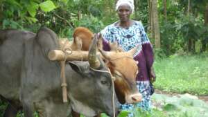 Smallholder Farmer