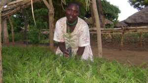 Smallholder Farmer