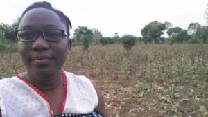 Crops destroyed by prolonged drought in Uganda
