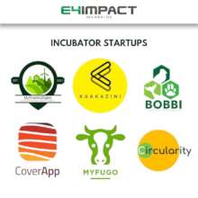 KaaKazini, one of the incubated social entreprises