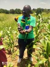 Training on using biochar to improve the soil