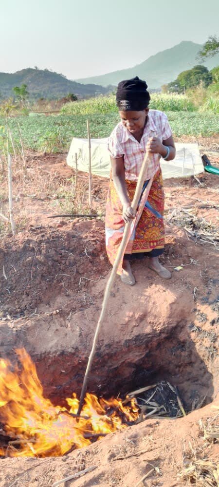 A Little Training Goes a Long Way