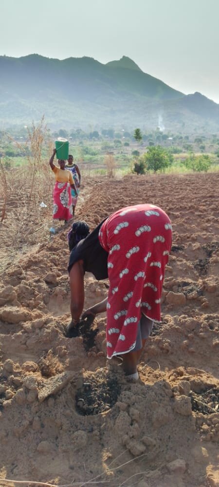 A Little Training Goes a Long Way