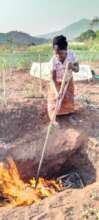 Trench method with cornstalks