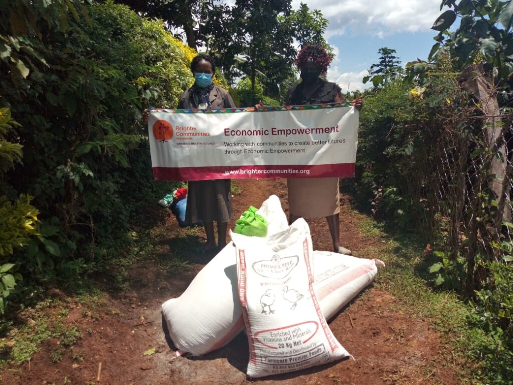 Provide Kenyan families with the means to survive