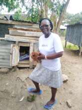 Successful Chicken & Egg Business Operating