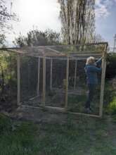 cats enclosure
