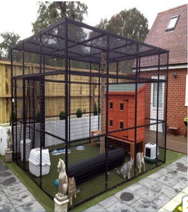 Outdoor Cats Enclosures GlobalGiving