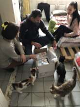 Refugee family with cats