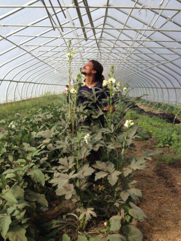 Detroit Rain Catchment & Produce Washing