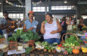 Detroit Rain Catchment & Produce Washing