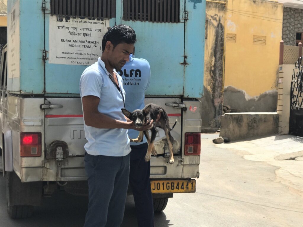 New Rescue Vehicle to Save Street Animals