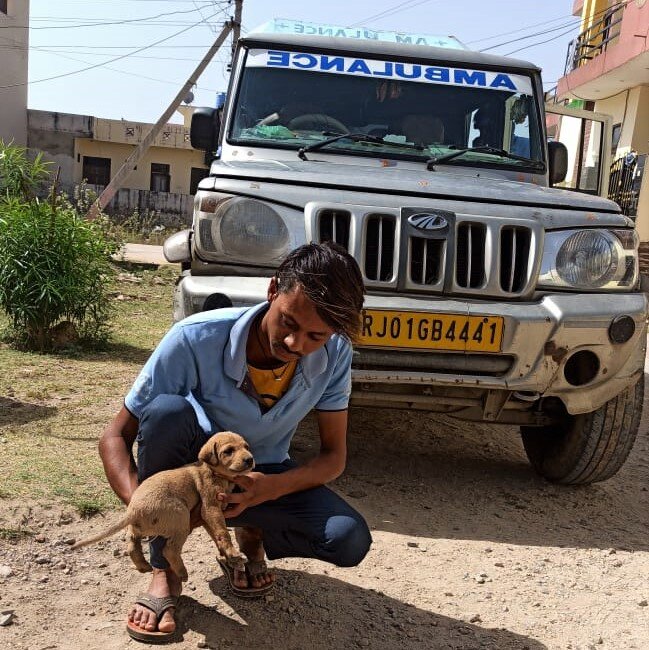 New Rescue Vehicle to Save Street Animals