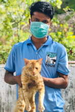 TOLFA staff with rescued cat
