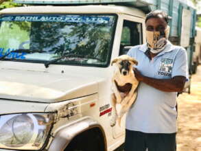 Staff and rescue vehicle