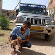 Our Rescue Vehicles are vital for street animals