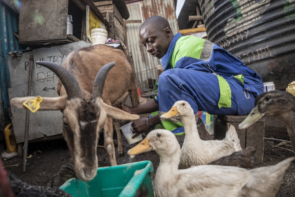 Invest in entrepreneurs to change the world