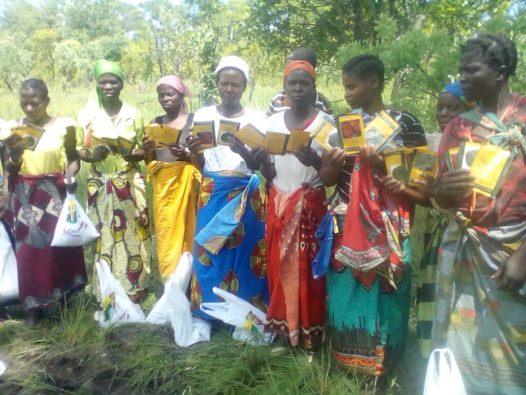 Empower 500 women farmers in Mozambique
