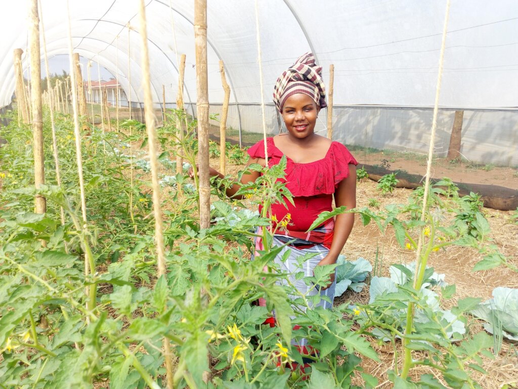 Empower 500 women farmers in Mozambique