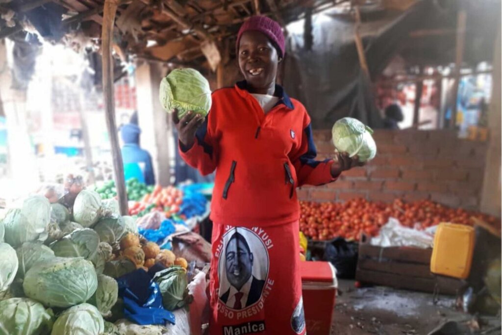 Empower 500 women farmers in Mozambique