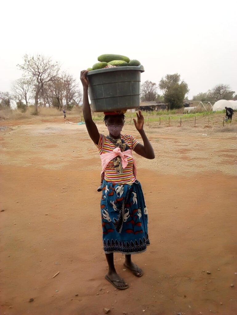 Empower 500 women farmers in Mozambique