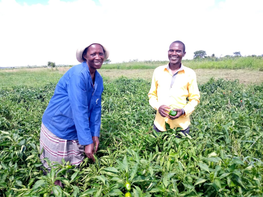 Empower 500 women farmers in Mozambique