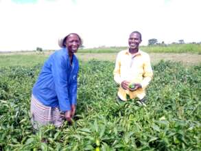 A strong couple work together on their farm