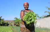 Empower 500 women farmers in Mozambique
