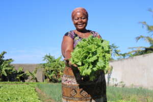 Empower 500 women farmers in Mozambique