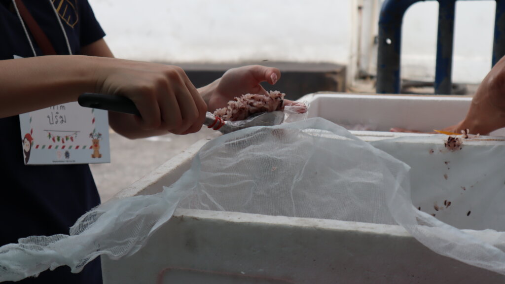 Food and Protection for Street Children in Bangkok
