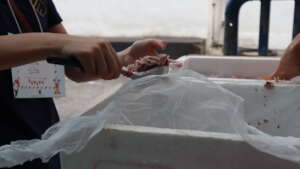 Providing Food for Street Children