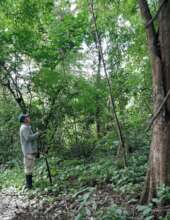 Community rangers monitoring forest