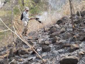 Community ranger stopping the spread of fire