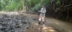 Primate monitoring