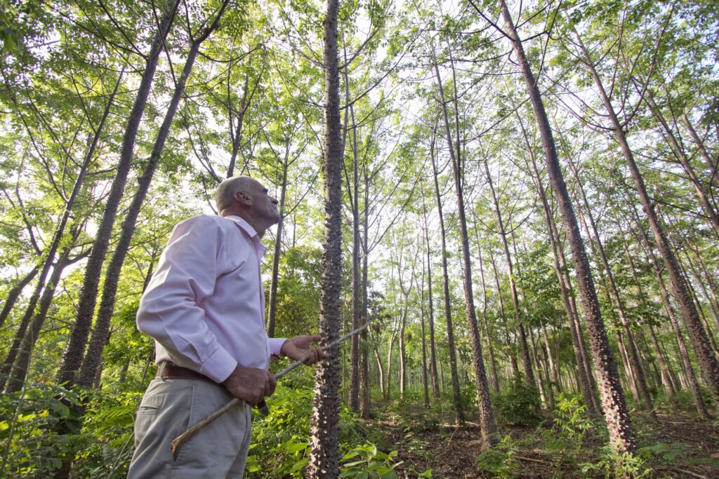 Safeguard habitat for wildlife in Central America!