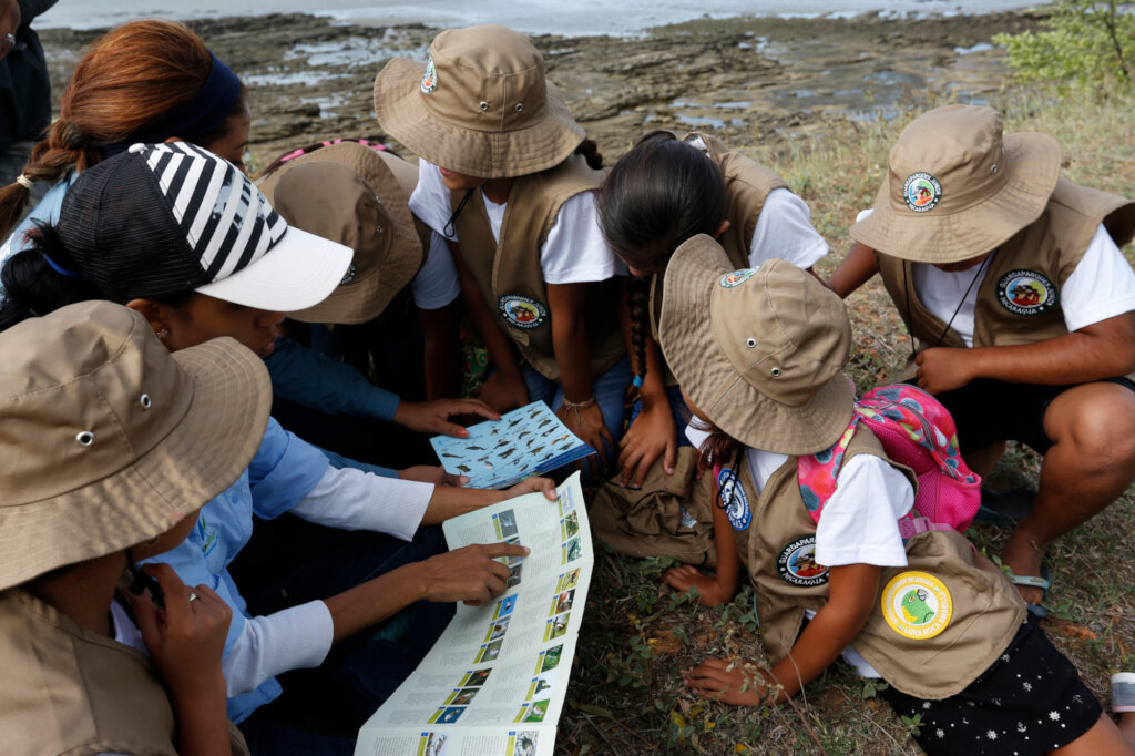 Safeguard habitat for wildlife in Central America!