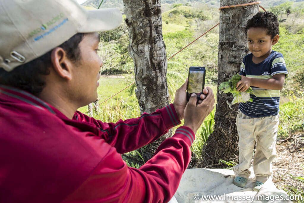 Safeguard habitat for wildlife in Central America!