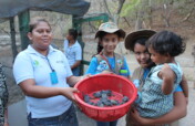 Safeguard habitat for wildlife in Central America!