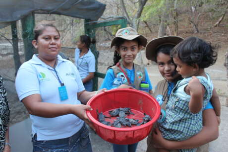 Safeguard habitat for wildlife in Central America!