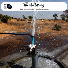 The Wellspring Newsletter Image