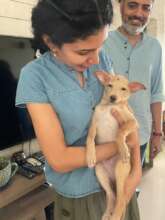 Alex recovered & adopted after Blood Transfusion