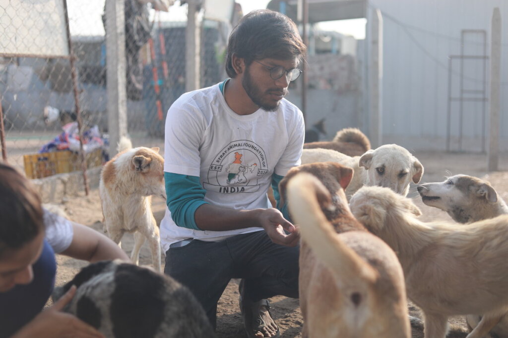 Hyderabad, India's first Animal blood bank