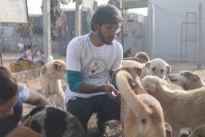 Dogs in our shelter W staff