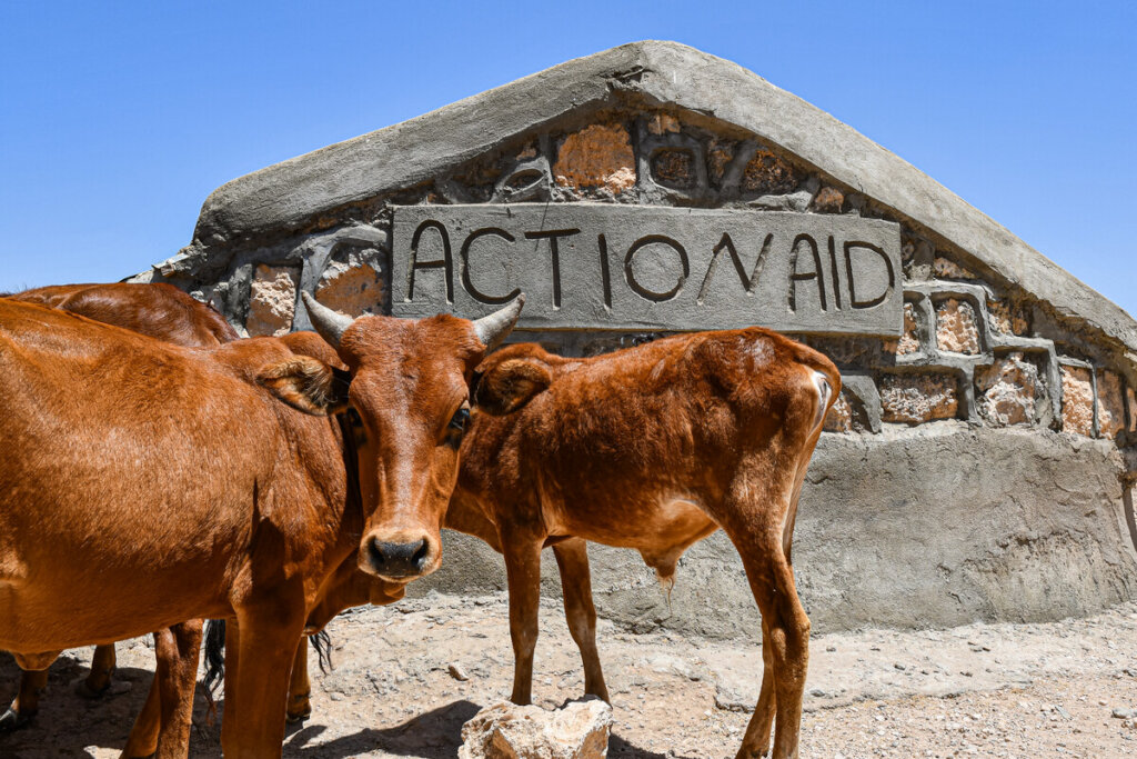 East Africa Food Crisis