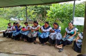 Organizations work alongside indigenous communitie
