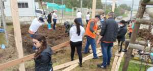 New school orchard