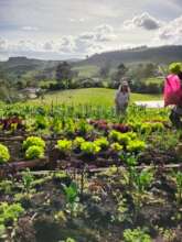 Regenerative agriculture
