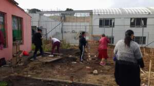 Growing our food