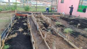 Ready for sowing