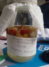 Artisan apple cider vinegar